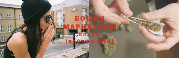 сатива Арсеньев