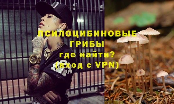 сатива Арсеньев