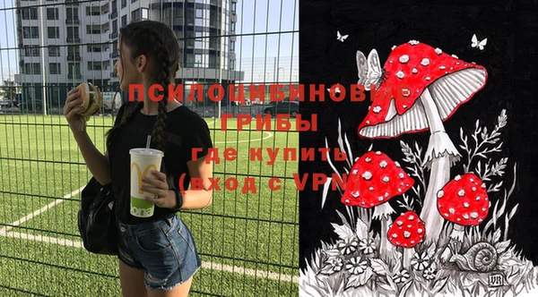сатива Арсеньев