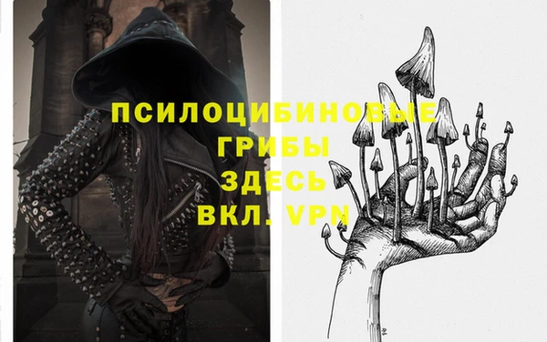 МДПВ Аркадак