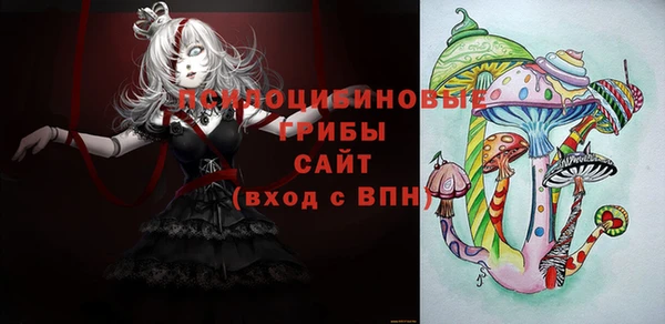 сатива Арсеньев