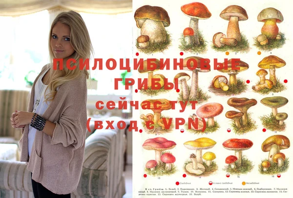 МДПВ Аркадак