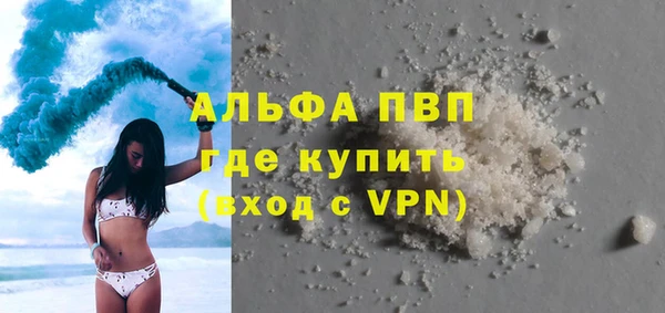 сатива Арсеньев