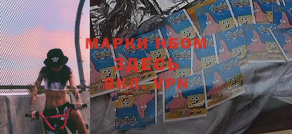 прущие грибы Касимов