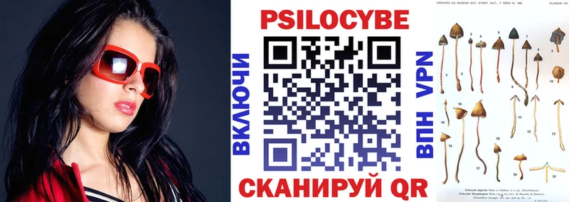 Галлюциногенные грибы Psilocybe  где можно купить   Малмыж 
