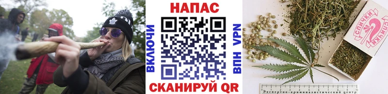 Каннабис индика Малмыж